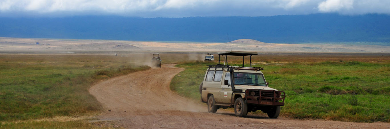Safari Tours and Routes